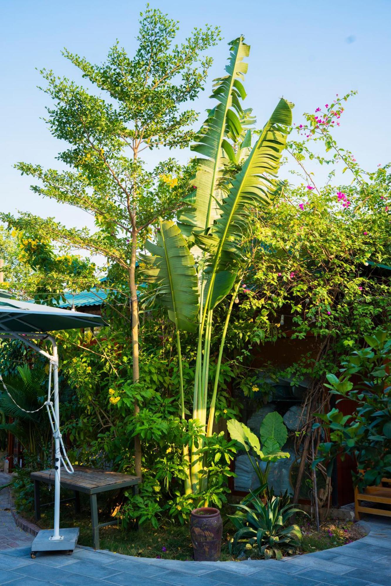 Rosa Garden Hotel Ninh Binh Luaran gambar