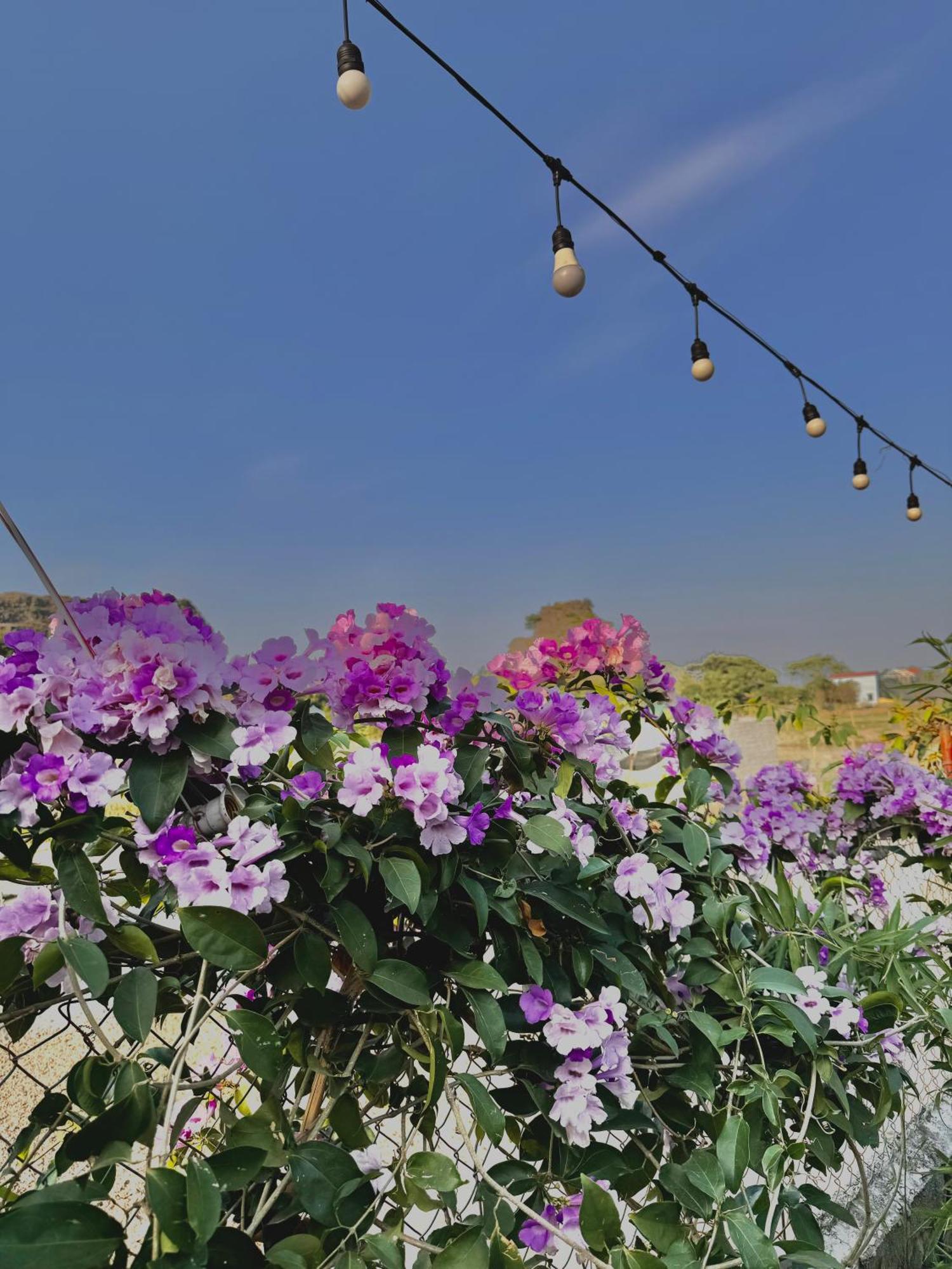Rosa Garden Hotel Ninh Binh Luaran gambar