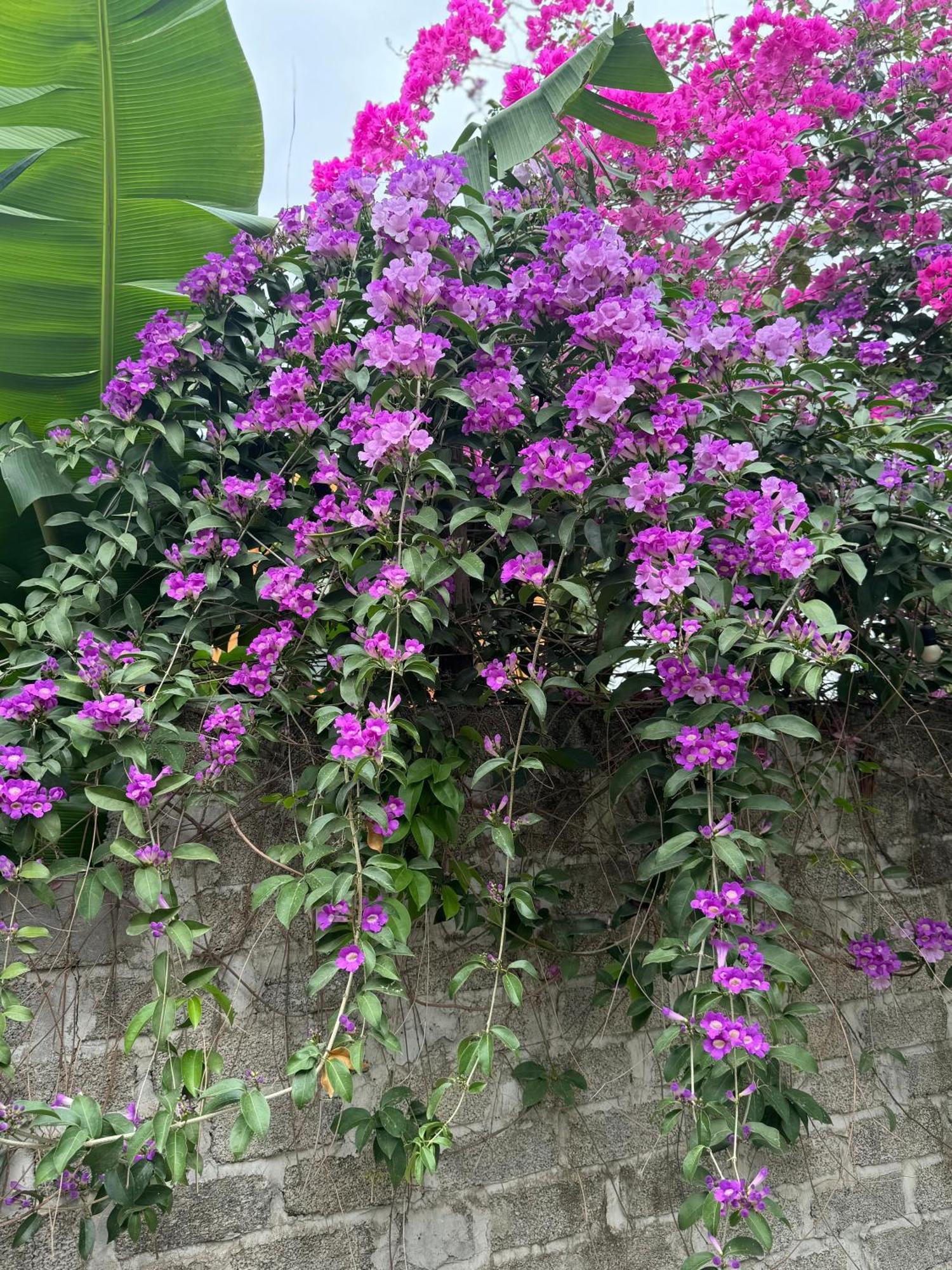 Rosa Garden Hotel Ninh Binh Luaran gambar
